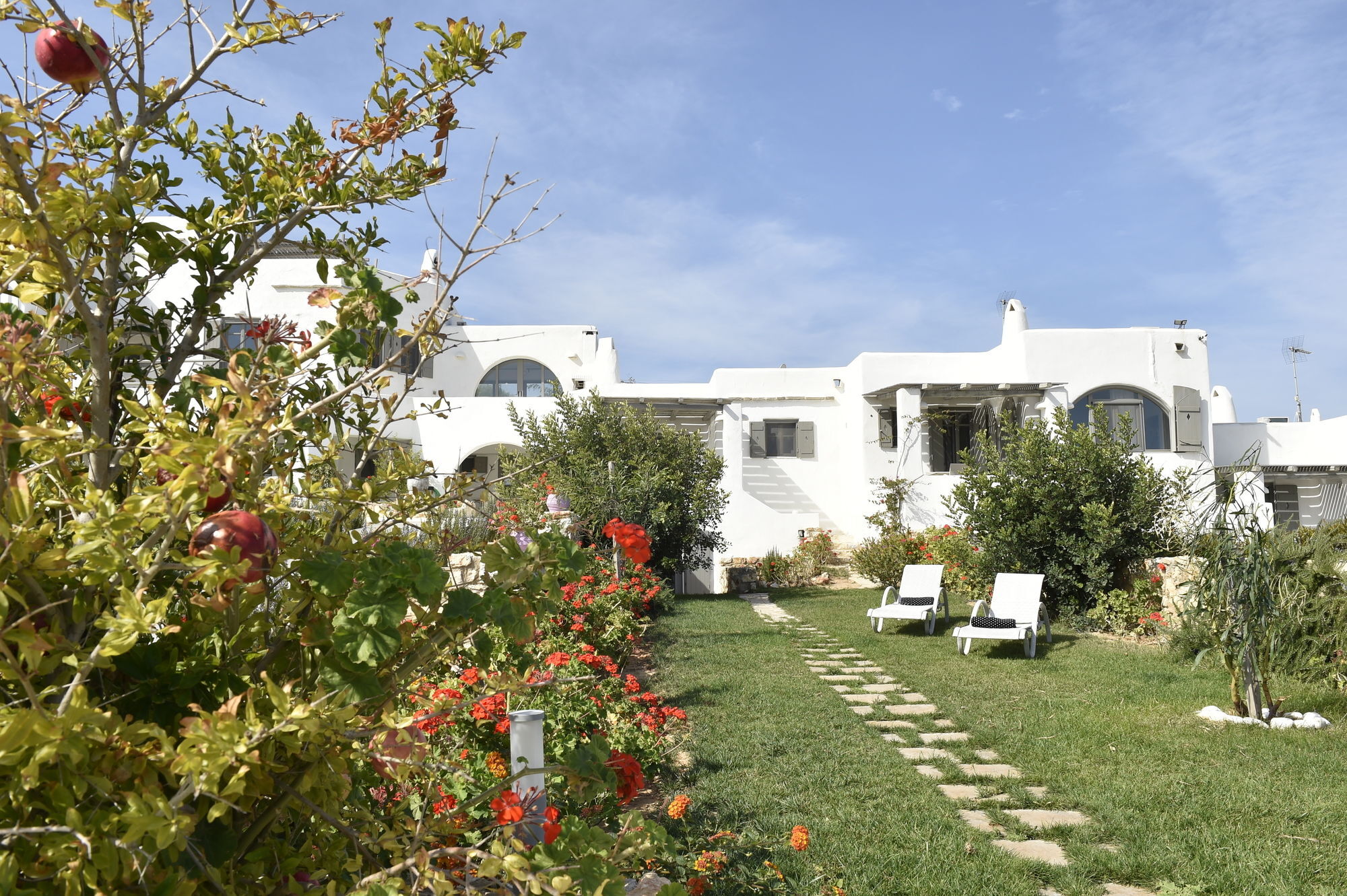 Naoussa Hills Boutique Resort- Adults Only Páros Dış mekan fotoğraf