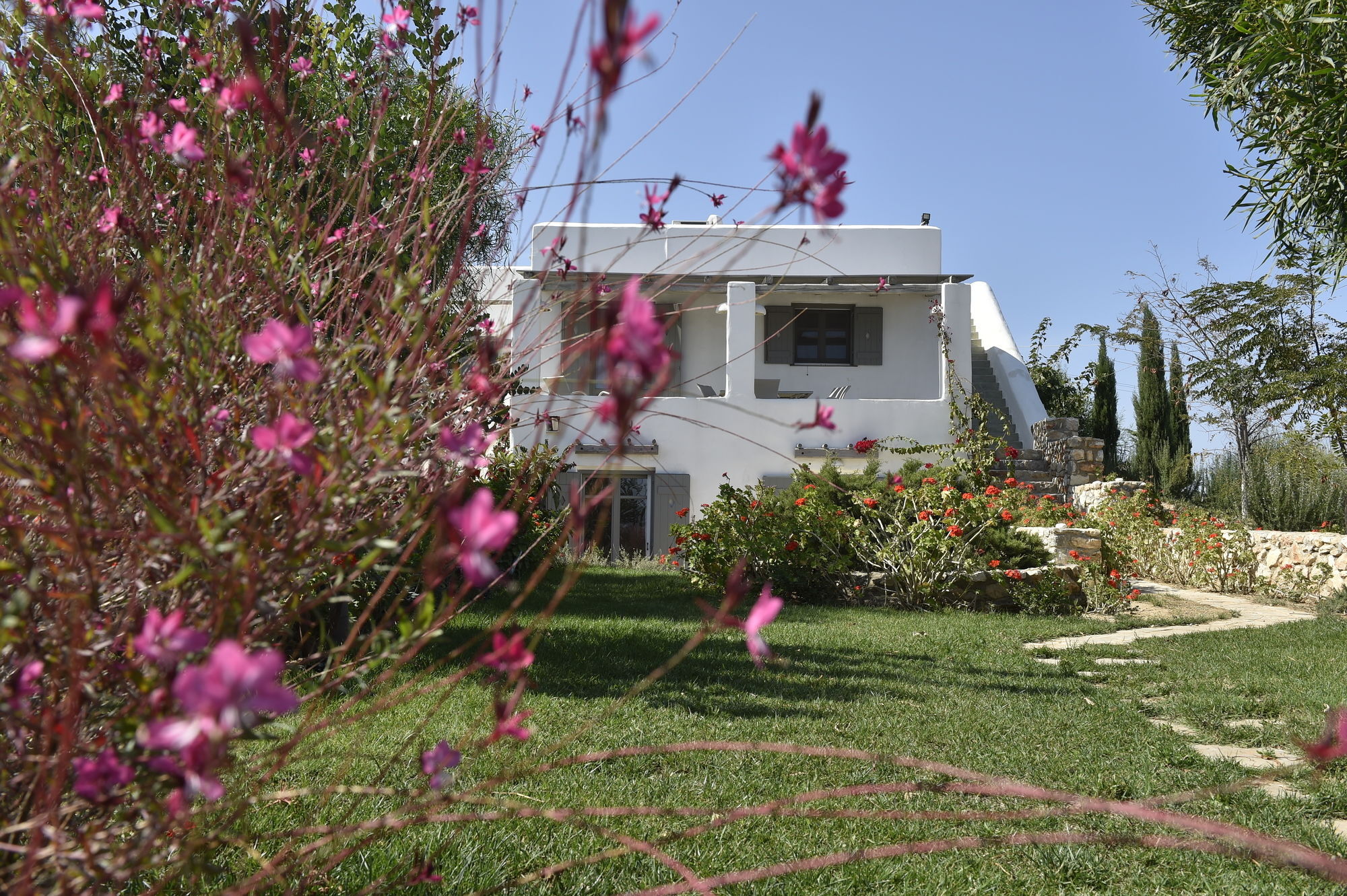 Naoussa Hills Boutique Resort- Adults Only Páros Dış mekan fotoğraf